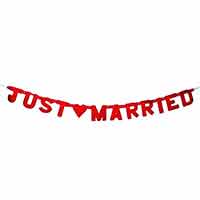 Z_03: Girlande - JUST MARRIED -