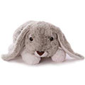 Z_54: Hundedecke Z_54: Hundedecke