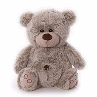 Z_63: BESTER FREUND PLÜSCH TEDDYBÄR Z_63: BESTER FREUND PLÜSCH TEDDYBÄR