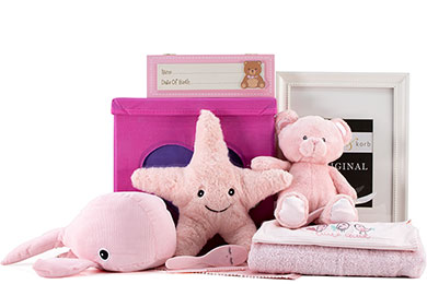 WILLKOMMEN - BABY GESCHENKKORB FÜR MÄDCHEN 