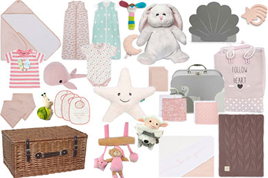 EXTRA VIP BABY GESCHENKKORB FÜR MÄDCHEN 