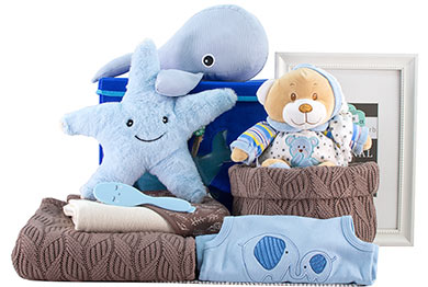 BABY GESCHENKKORB FÜR JUNGEN - DREAM BIG 